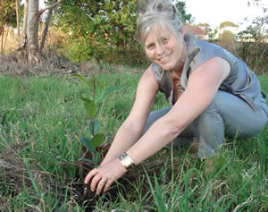 tree planting at community site in station street